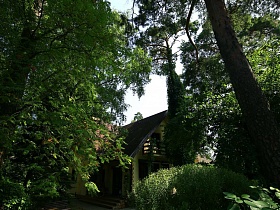 двухэтажный дачный домик в тени густой зелени деревьев на участке