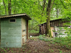 деревянные хозяйственные постройки с разрушенными стенами, без двери на земле с опавшей листвой старого заброшенного дома в густом лесу