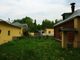 участки жилых домов с нескошенной зеленой травой и полевыми цветами, огороженные низким деревянным забором