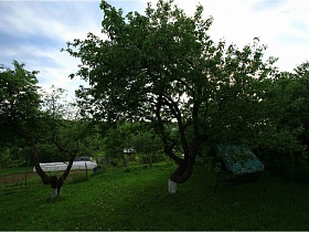 садовые качели под кроной фруктового дерева на дачном участке у дороги
