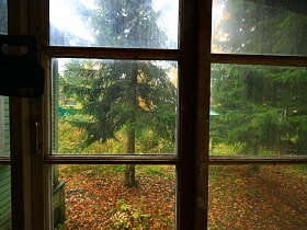 вид из окна веранды небольшого домика на соседние дома новостроек за зелеными высокими елями