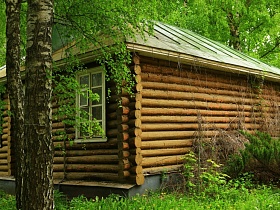 слаженный деревянный бревенчатый дом под крышей на высоком цоколе на зеленой поляне среди стройных берез в старом городке