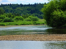 вид с мелководья петляющего устья реки на густой зеленый лесной массив на горе