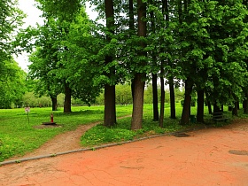 деревянная скамейка под тенью густых зеленых веток высоких деревьев вдоль широкой дороги в парке в летнее время