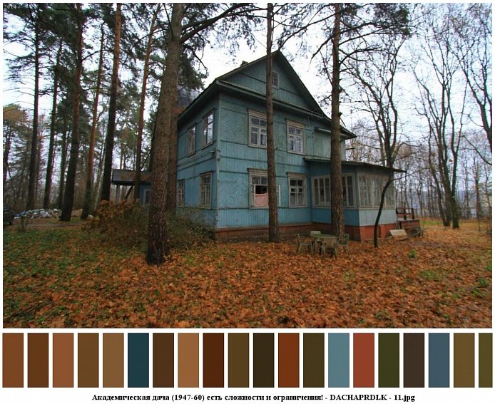 общий вид голубой деревянной академичекойдвухэтажной дачи (1947-60 гг)  за забором с хвойными и лиственными деревьями