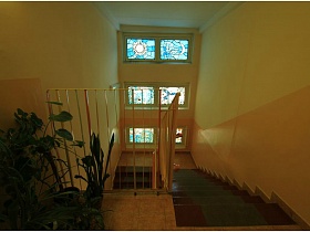 витражи на окнах лестничной площадки с комнатными цветами