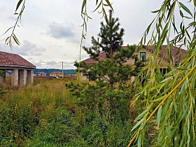 хвойные и лиственные деревья на заросшем участке с недостроенным домом в коттеджном поселке на берегу реки