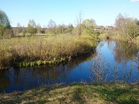 отражение синего неба в водной глади речушки, с деревьями и высокой травой на берегу в старой деревне 2
