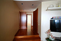 blog-image