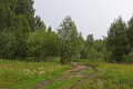 blog-image