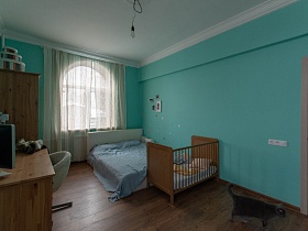 серый пушистый кот на полу с коричневым ламинатом в спальне с бирюзовыми стенами и белым потолком современной квартиры в разных тонах
