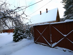 березки, фруктовые деревья и небольшая елочка под снегом на территории художественной дачи среди соснового леса